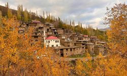 Hizan’da altın sarısı sonbahar, fotoğraf tutkunlarını bekliyor
