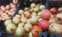 Bitlis’te meşhur zivzik narı tezgâhlarda yerini aldı