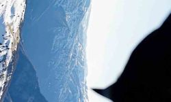 Kartalın drone’u kapıp dağın zirvesine bırakma anı kamerada