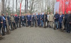 Adilcevaz'da üreticilere 12 bin adet ceviz fidanı dağıtıldı