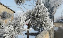 Ağrı'da dondurucu soğuklar nedeniyle araçlar battaniyeyle örtülüyor
