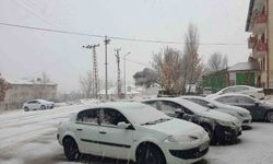 Başkale beyaz örtüyle kaplandı