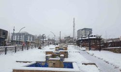 Başkale'de kar kalınlığı 20 santimetreyi aştı