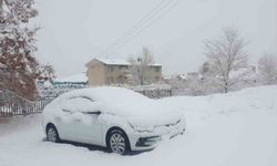 Başkale'de kar yağışı hayatı durma noktasına getirdi: Araçlar karla kaplandı