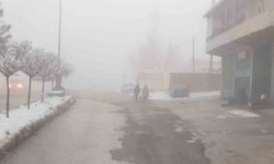 Başkale'de sisten dolayı göz gözü görmedi