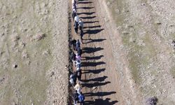 Bayrak Tepe’de “Adımlarla Keşfet” yürüyüşü: 50 kişi doğayla buluştu