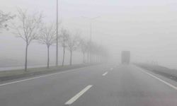 Bingöl'de yoğun sis etkili oluyor