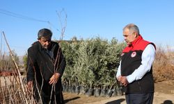 Elazığ'da fidancılık işletmelerine denetim gerçekleştirildi