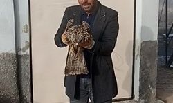 Elazığ'da köylülerin bulduğu yaralı kartal koruma altına alındı