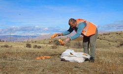 Elazığ’da yaban hayvanları unutulmadı