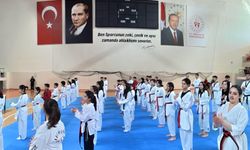 Erzincan, Siyah Kuşak ve Dan Terfi Sınavında ev sahibi oldu