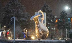 Erzincan'da kar yağışı etkisini sürüdürüyor