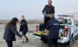 Erzincan'da zabıta ekipleri son kullanma tarihi geçmiş ürünlere el koydu