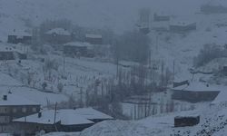 Hakkari’de 43 yerleşim yerine ulaşım sağlanamıyor