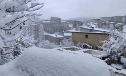 Hakkari’de kar ulaşımı felç etti: 13 köy, 30 mezra yolu kapalı