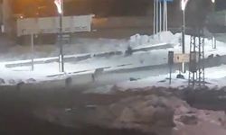 Karayazı'da aç kalan kurtlar şehre inerek korkuya neden oldu