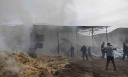 Malatya'da besi çiftliğinde çıkan yangın paniğe sebep oldu