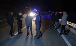 Malatya'da karayoluna çıkan yarış atları faciaya sebep oldu