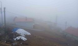 Posof'ta yoğun sis etkisini sürdürüyor
