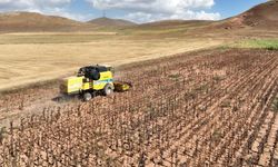 Tarımsal girdilerde yükseliş: Yıllık artış %33,66