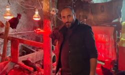 Tavuklara müzikli terapi verimi yükseltti