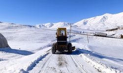 Van'da 35 yerleşim yolu ulaşıma kapandı