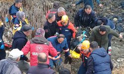 Van'da araç bataklığa uçtu: 5 kişi yaralandı