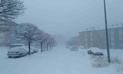 Van’da kar hayatı felç etti: 569 yol kapandı, uçuşlar durduruldu