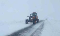 Van’da kar nedeniyle 28 yerleşim yolu ulaşıma kapandı