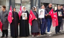 Vanlı annelerin feryadı 114 haftadır sürüyor