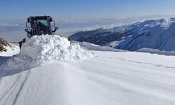 Varto'da kar yağışı 26 köy yolunu ulaşıma kapattı