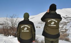 Yasa dışı avcılık Hakkâri’de cezasız kalmadı