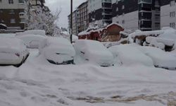 Yoğun kar yağışı Bitlis’i esir aldı: Araçlar ve tek katlı evler karda kayboldu