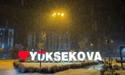 Yüksekova’da kar yağışı etkisini artırdı