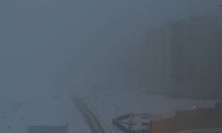 Yüksekova'da yoğun sis hayatı durma noktasına getirdi