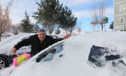 Ahlat’ta kar yağışı kenti beyaza bürüdü