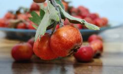 Bitlis’te son alıçlar dalında kaldı