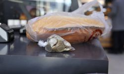 Yüz lira bozuk para getirene iki ekmek hediye