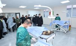 Bitlis’te sokak hayvanları bakımevi ve doğal yaşam alanı incelendi