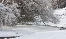 Bitlisliler dikkat! Meteoroloji kuvvetli kar yağışı için uyardı