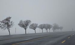 Bitlis’te sis etkili oluyor