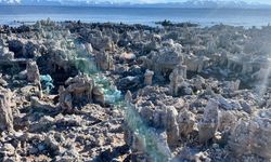 Van Gölü’nün Çekilmesiyle Ahlat’ta Mikrobiyalit Tarlası Ortaya Çıktı