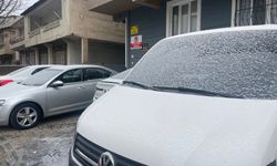 Tatvan’da kar yağışı etkili oldu