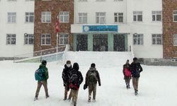 Bitlis genelinde kar tatili: Eğitime 1 gün ara verildi