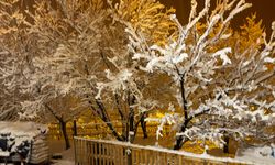 Ahlat’ta köyler beyaza büründü