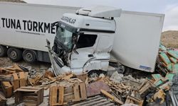 Adilcevaz’da tavuk yüklü tır kaza yaptı: sürücü yaralandı