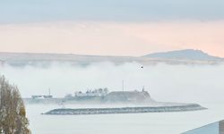 Tatvan’da yoğun sis hayatı olumsuz etkiledi