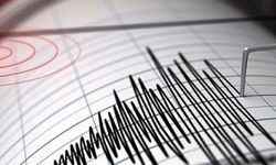 Van’da 4.6 büyüklüğünde deprem: Bitlis’te de hissedildi