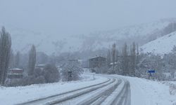 Yolalan Beldesinde Kar Yağışı Etkili Oldu