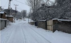 Tatvan’ın Yelkenli Köyü beyaza büründü